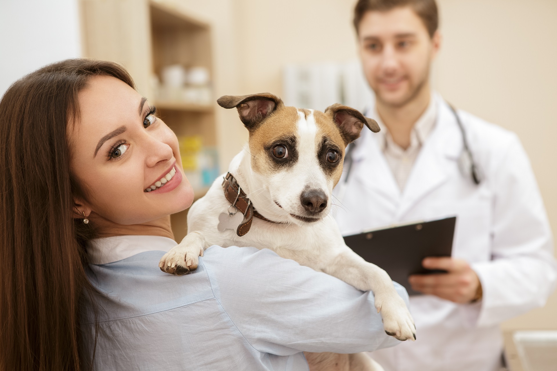 Koira ja eläinlääkäri